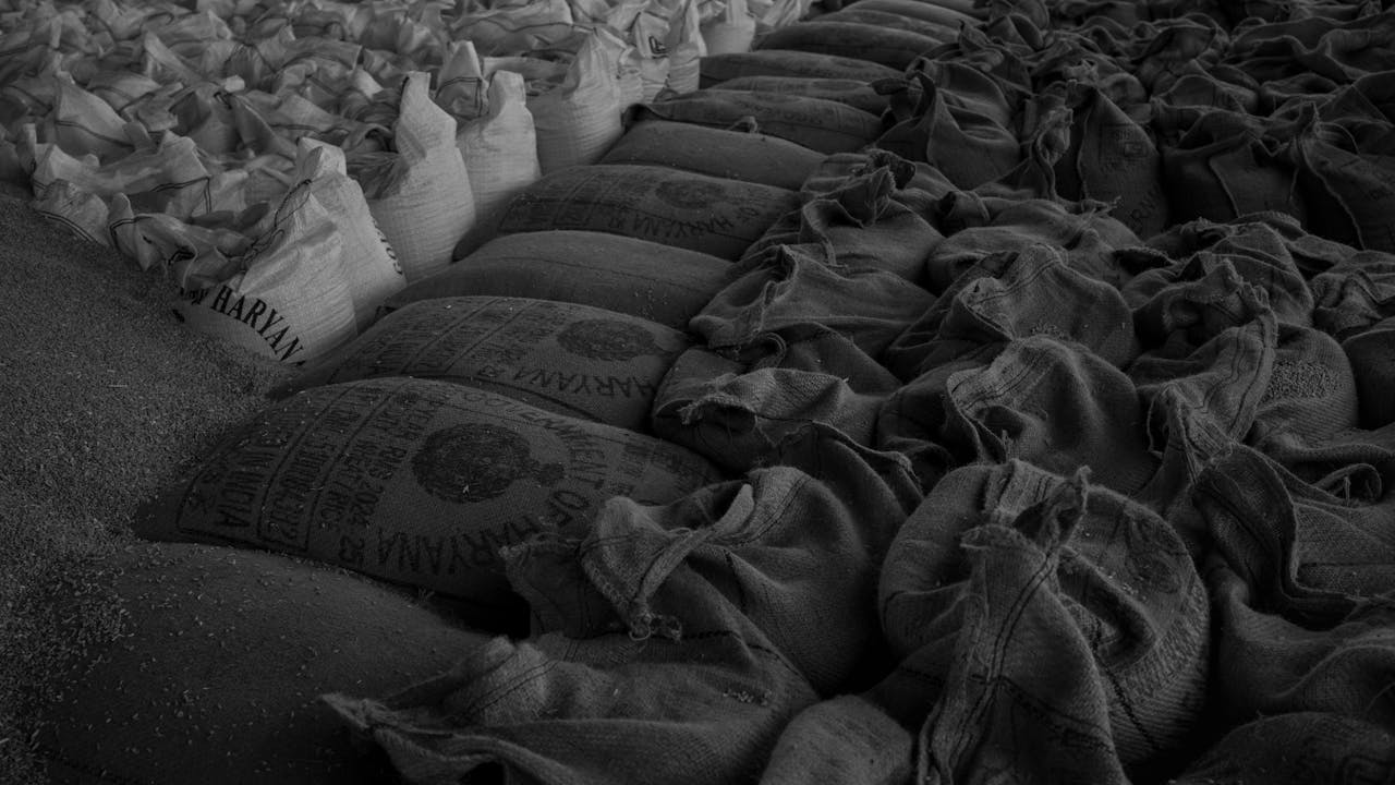 gallery-1 Black and white image of neatly stacked sacks filled with grain, showcasing market storage.
