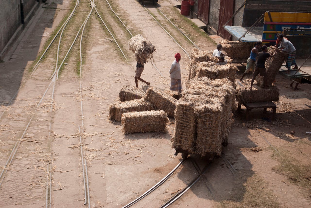 why-choose-us Men manually loading hay bales onto railway carts in a sunny outdoor rural area.