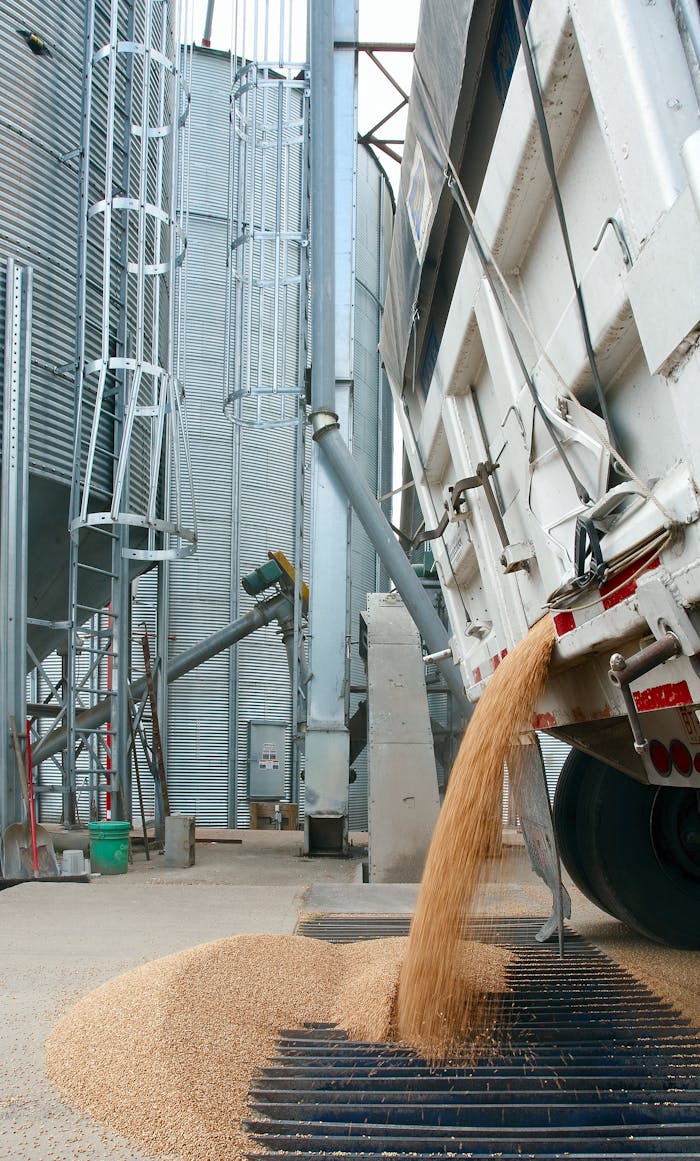 services-02 Truck unloading wheat at industrial grain facility. Vertical shot emphasizing storage silos.